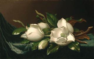 Magnolias on Light Blue Velvet Cloth