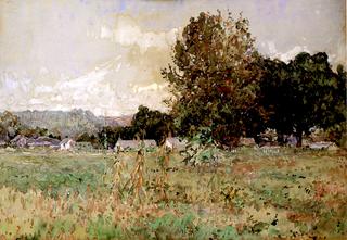 Cornfield in Autumn