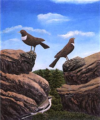 Rocks with Three Birds