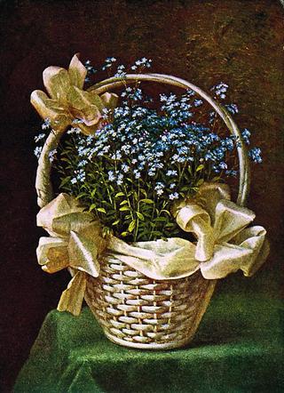 Forget-me-nots