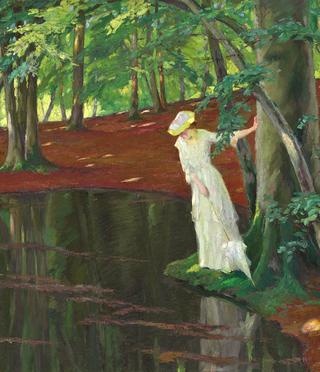 Secret of the Forest