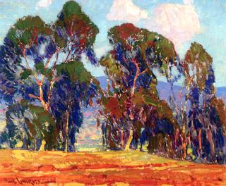 Eucalyptus Grove
