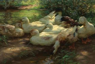 Eight Ducks on the Riverbank