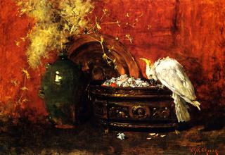 White Cockatoo