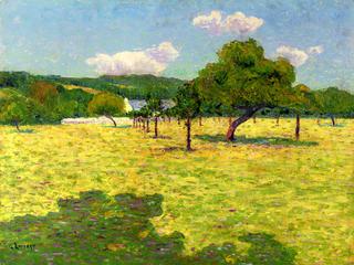 Field and Hills