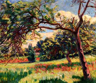 Landscape