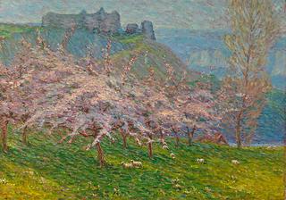Sheep Grazing beneath Flowering Apple Trees