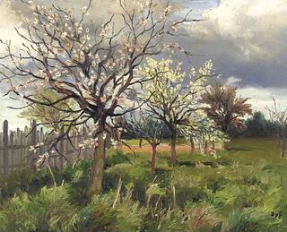 Orchard in Spring