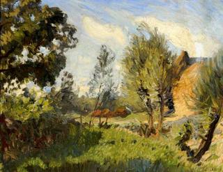Summer Afternoon