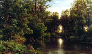Pond