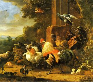 Bird of Prey in a Poultry Yard