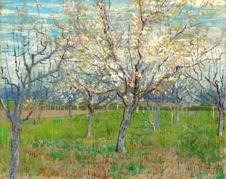 The Pink Orchard