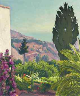 Cypress Tree in Spring