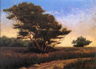 Trees in a Field