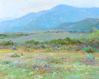 Mountain Meadows