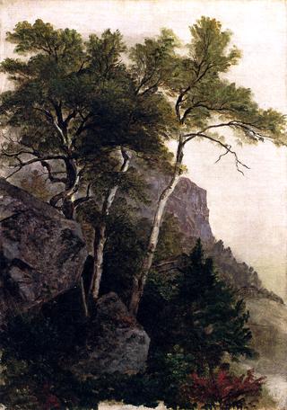 风景