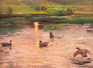 Wild Ducks at Sunset