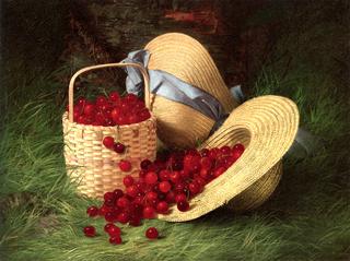 Harvest of Cherries