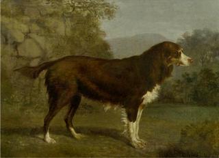 Dog in a Landscape
