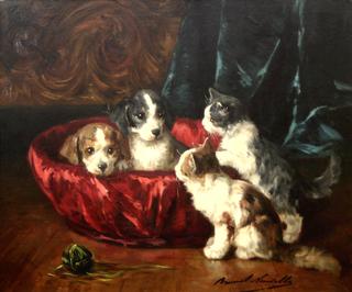 two pups and two kittens