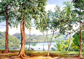 View from Kalutara, Ceylon