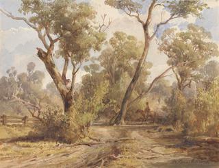 Bush Scene