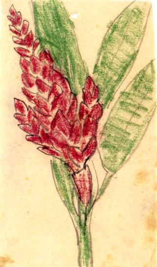 Green Leaves and Red Blossoms