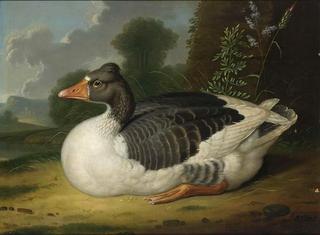 Goose in a Landscape