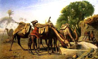 Camels at a Watering Trough