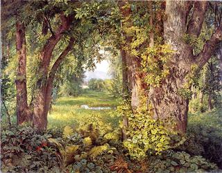 Into the Woods