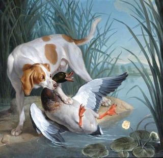 A Dog and a Wild Duck