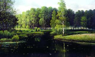 Forest Landscape