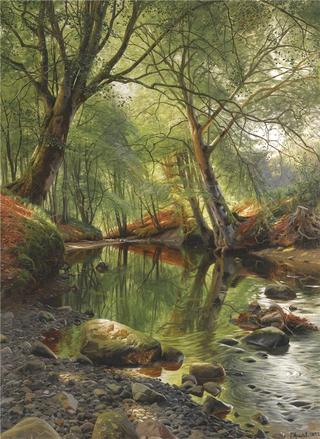 Forest Stream