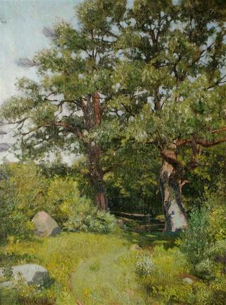 Summer Meadow