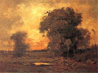 Sunset Trees