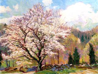 Tree in Bloom