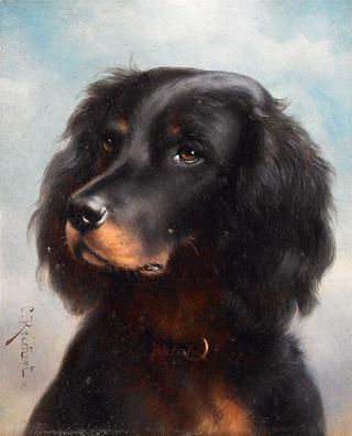 Portrait of a Dog