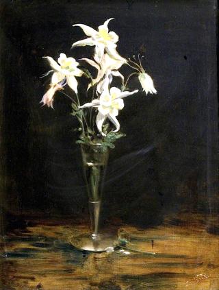 Aquilegia in Silver Vase
