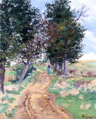 The Path in the Woods