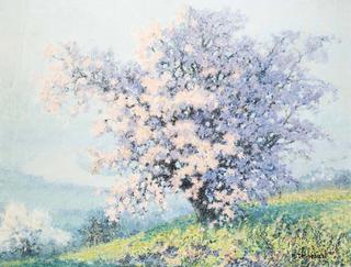 Spring Blossoms