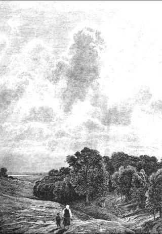 Clouds above a Grove