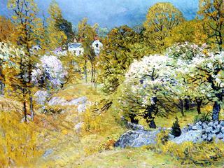 Spring Blossoms