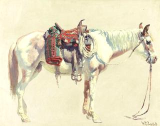 Study of a Horse