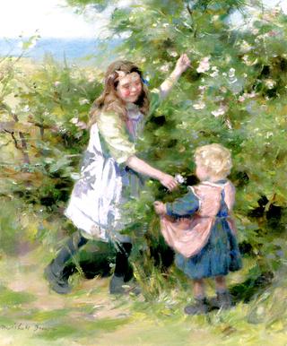 Wayside Roses