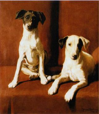 Terriers