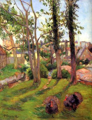 Turkeys, Pont-Aven