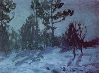 Winter Night