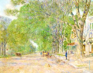 The East Hampton Elms in May