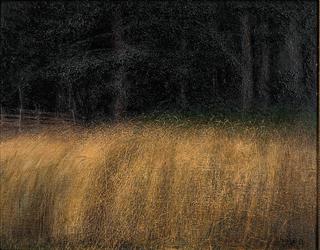 The Meadow
