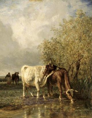 Vaches buvant à une mare (Cows Drinking at a Pool)